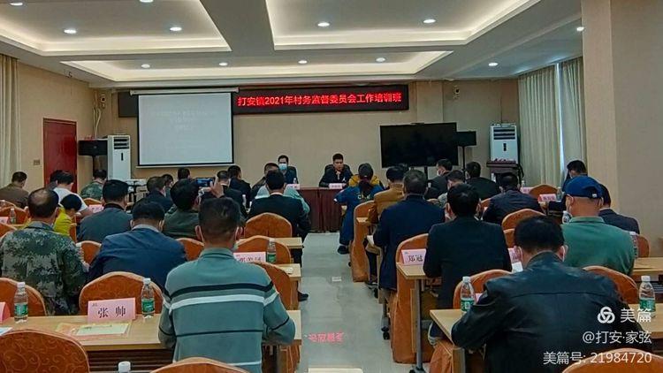 广东省村务监督委员会,广东省村务监督委员会的运作与成效