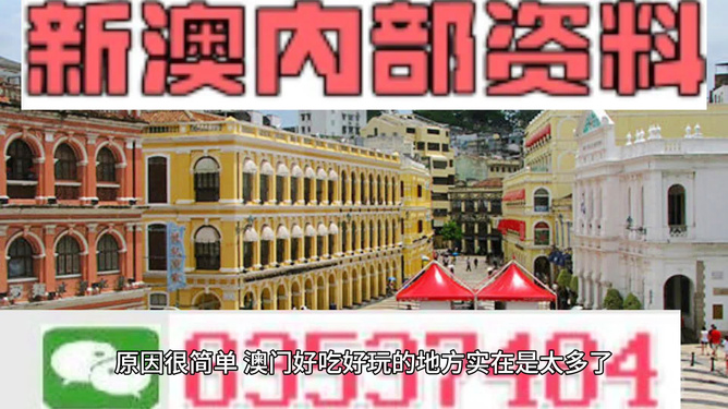 澳门最精准免费资料大全旅游团,澳门最精准免费资料大全与旅游团，探索澳门之旅的完美指南