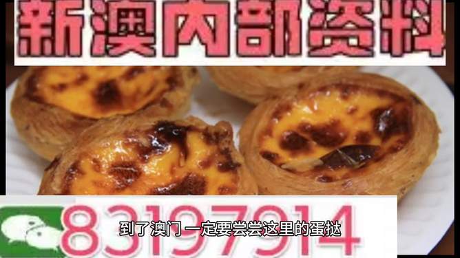 2024澳门精准正版资料大全,关于澳门精准正版资料大全的探讨与警示