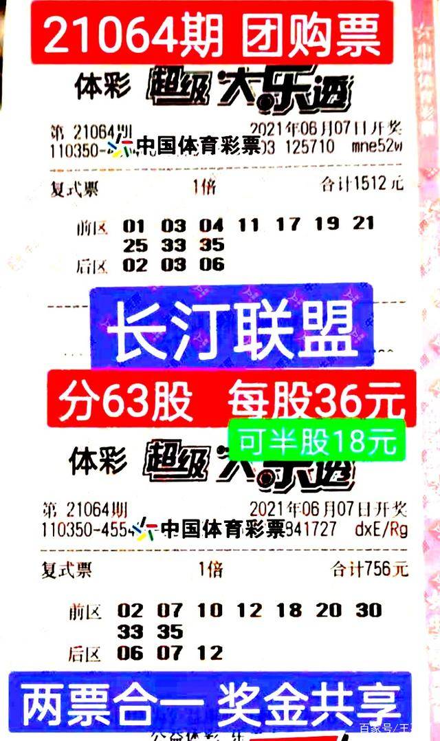 4949免费资料大全资中奖,揭秘4949免费资料大全与中奖奥秘，探寻幸运之门的关键所在