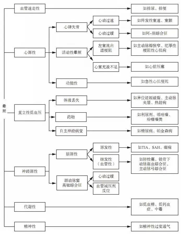 7777788888王中王中特,探索数字背后的秘密，王中王中特与数字77777与88888的奇妙结合