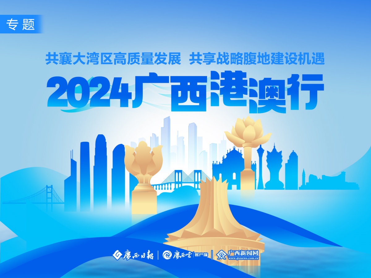 2020澳门精准资料大全—欢迎,澳门精准资料大全——欢迎探索背后的风险与挑战