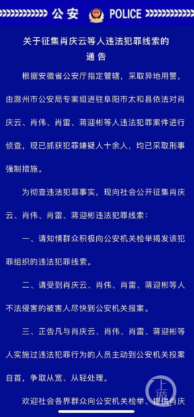 精准一肖一码一子一中,精准一肖一码一子一中，揭示背后的风险与犯罪问题