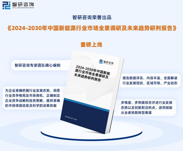 2024年新奥正版资料免费大全,2024年新奥正版资料免费大全——获取最新资源，助力学术研究与个人成长