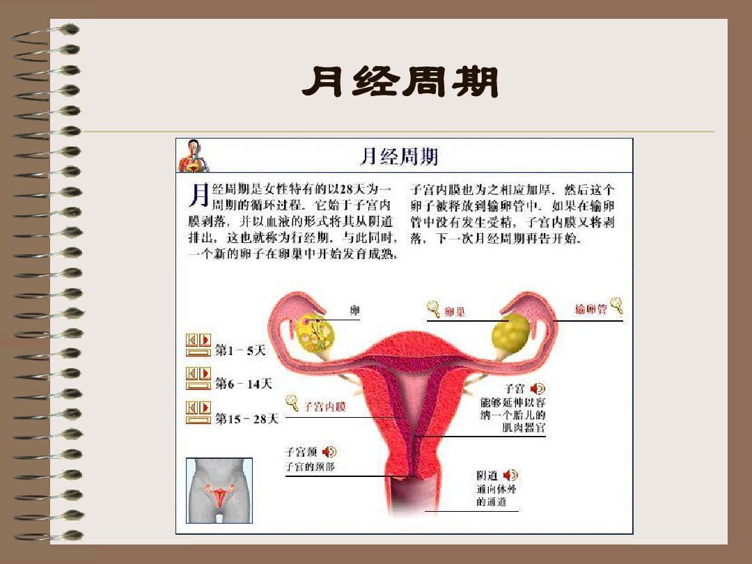 一个月会来几次月经,一个月会来几次月经，关于月经周期的常识与个体差异