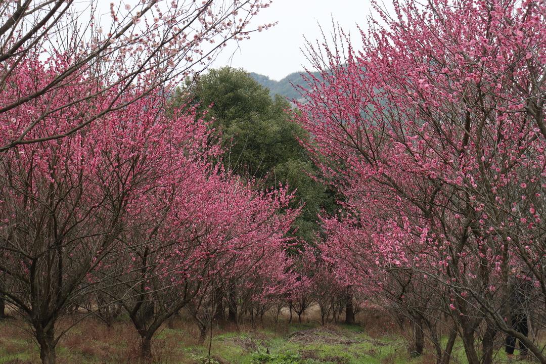 燕塘村最新招聘信息,燕塘村最新招聘信息及就业机遇展望