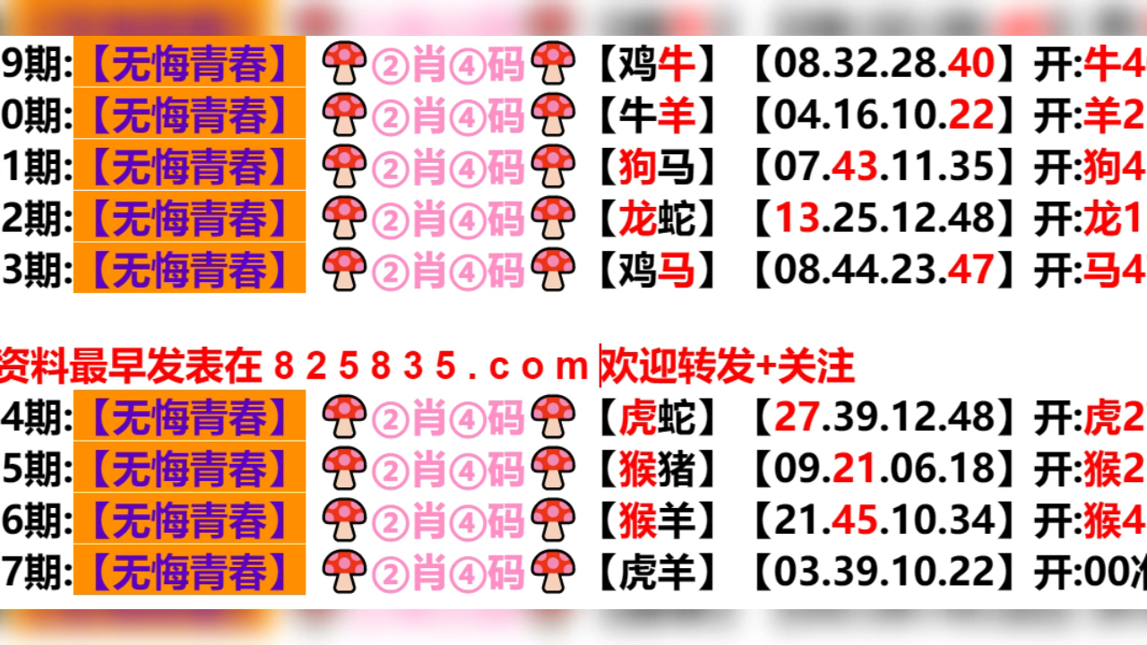 新奥2024一肖一码,快速问题处理_效率版29.942