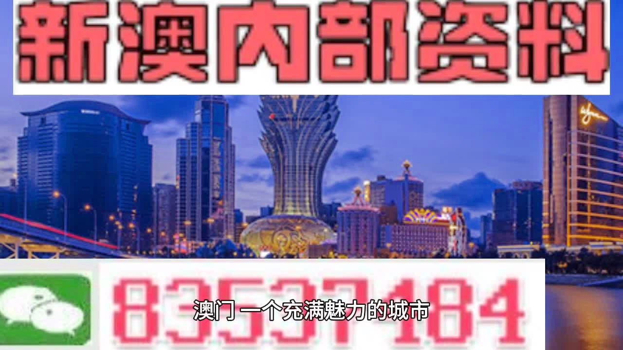 新澳新澳门正版资料,深度研究解析_家庭版89.384