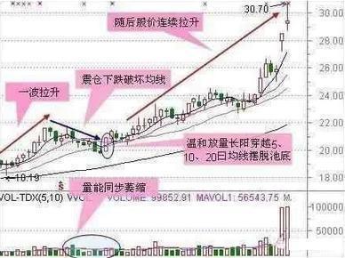 2024年澳门特马今晚,高效性设计规划_护眼版79.895