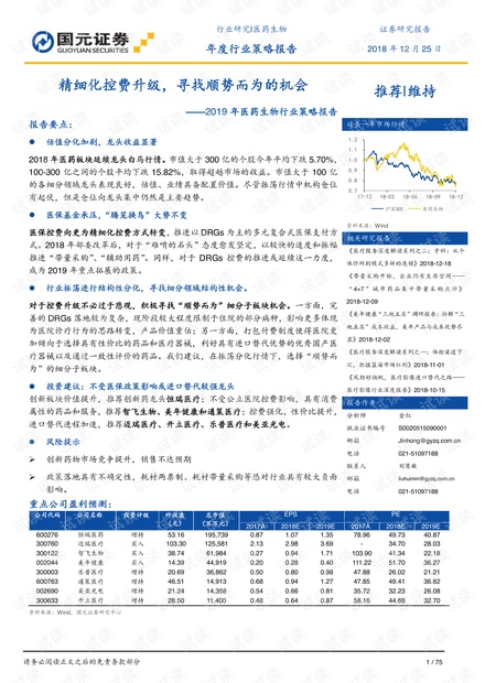 新澳全年免费正版资料,精细化方案决策_光辉版58.601