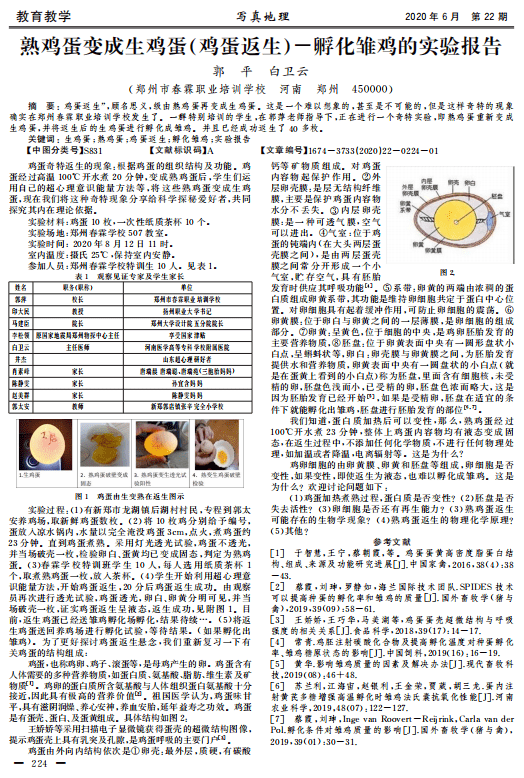 2024年天天开好彩大全|准绳释义解释落实,迈向成功之路，2024年天天开好彩大全与准绳释义的落实之道