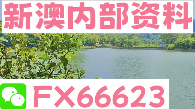 新澳精准资料免费提供最新版|卓著释义解释落实,新澳精准资料免费提供最新版与卓著释义解释落实的重要性