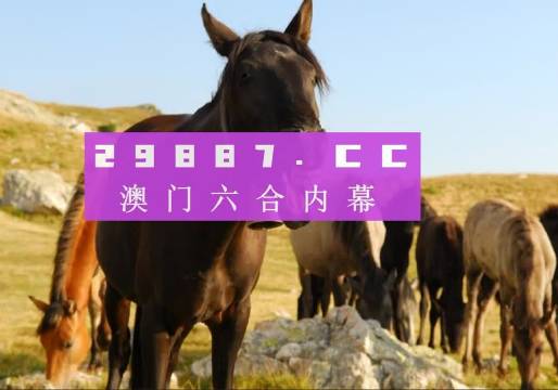 新澳门四不像凤凰版凤凰|交易释义解释落实,新澳门四不像凤凰版，交易释义、解释与落实