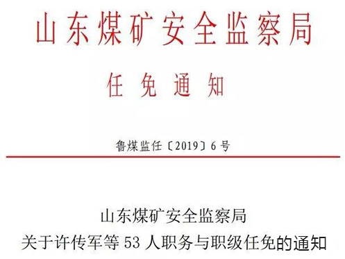 友好区级托养福利事业单位最新人事任命,友好区级托养福利事业单位最新人事任命及其影响