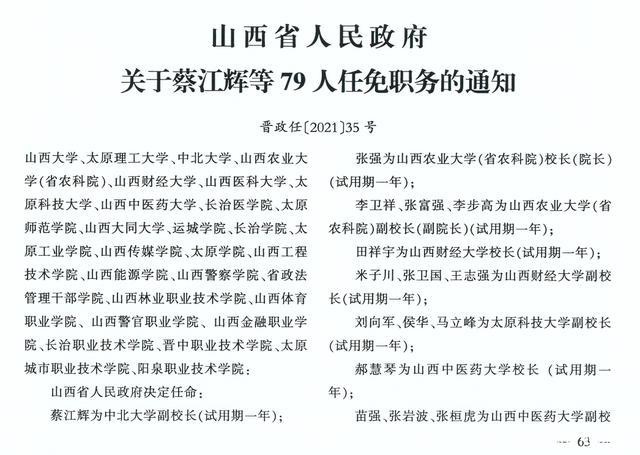 巴扎村最新人事任命,巴扎村最新人事任命动态