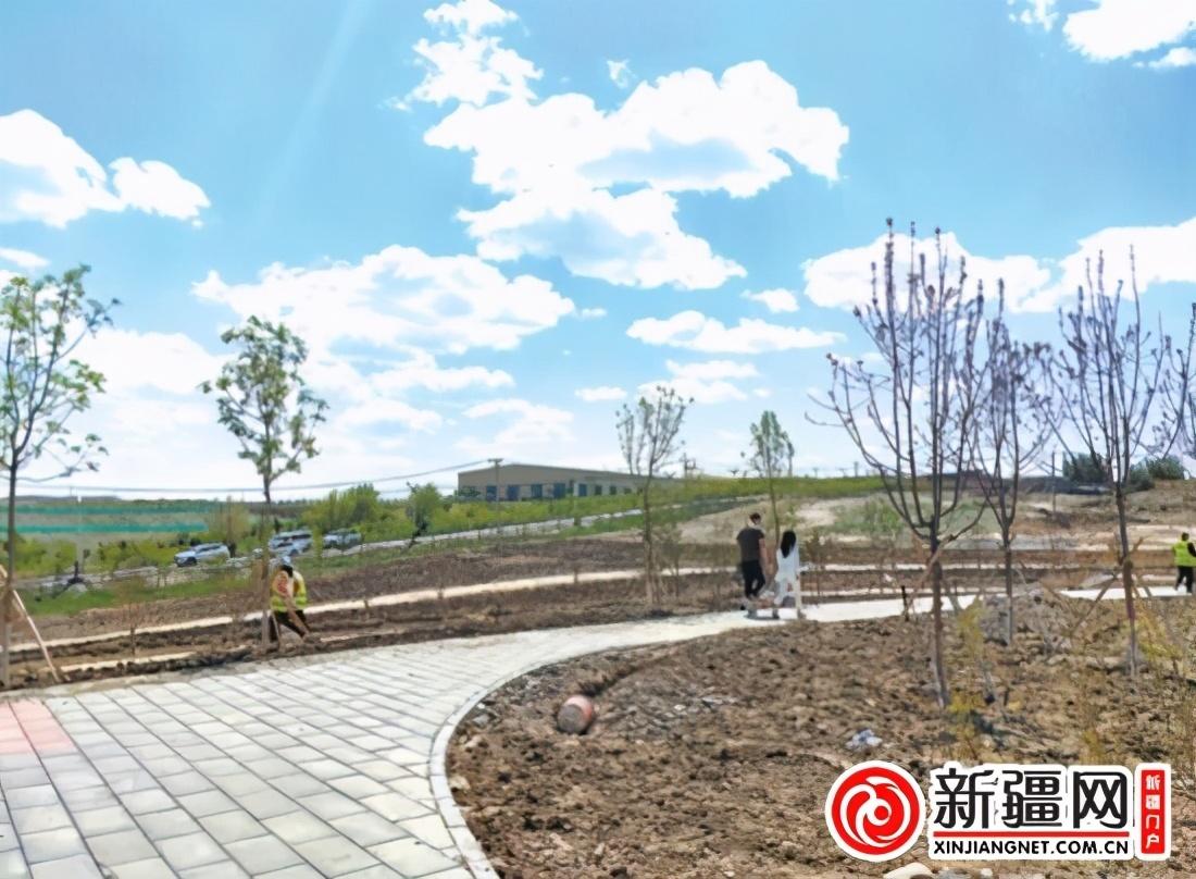 塔城地区市林业局最新项目,塔城地区市林业局最新项目，绿色生态建设的持续推进