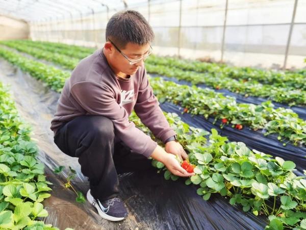 郏县公路运输管理事业单位最新领导,郏县公路运输管理事业单位最新领导及其领导下的变革与展望